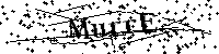 Veuillez écrire les lettres et numéros suivants