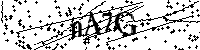 Veuillez écrire les lettres et numéros suivants