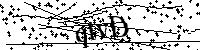 Si prega di scrivere le lettere e i numeri successivi