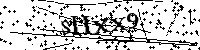Bitte schreiben Sie die nächsten Buchstaben und Zahlen
