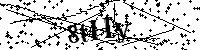 Veuillez écrire les lettres et numéros suivants