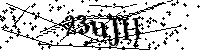 Por favor, escribe las letras y los números siguientes