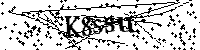 Bitte schreiben Sie die nächsten Buchstaben und Zahlen
