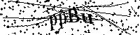 Bitte schreiben Sie die nächsten Buchstaben und Zahlen