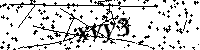 Bitte schreiben Sie die nächsten Buchstaben und Zahlen