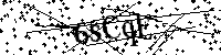 Bitte schreiben Sie die nächsten Buchstaben und Zahlen