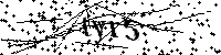 Bitte schreiben Sie die nächsten Buchstaben und Zahlen