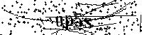 Bitte schreiben Sie die nächsten Buchstaben und Zahlen