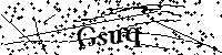 Bitte schreiben Sie die nächsten Buchstaben und Zahlen