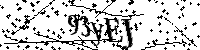 Veuillez écrire les lettres et numéros suivants