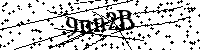 Veuillez écrire les lettres et numéros suivants