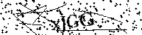 Por favor, escribe las letras y los números siguientes