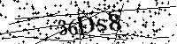 Si prega di scrivere le lettere e i numeri successivi
