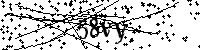 Si prega di scrivere le lettere e i numeri successivi