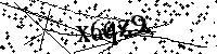 Bitte schreiben Sie die nächsten Buchstaben und Zahlen