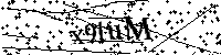 Por favor, escribe las letras y los números siguientes