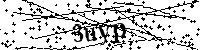 Veuillez écrire les lettres et numéros suivants