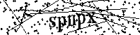 Bitte schreiben Sie die nächsten Buchstaben und Zahlen