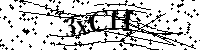 Veuillez écrire les lettres et numéros suivants