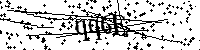Si prega di scrivere le lettere e i numeri successivi