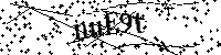 Veuillez écrire les lettres et numéros suivants