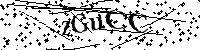 Por favor, escribe las letras y los números siguientes