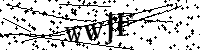 Veuillez écrire les lettres et numéros suivants