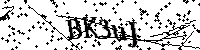 Bitte schreiben Sie die nächsten Buchstaben und Zahlen