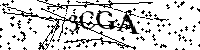 Si prega di scrivere le lettere e i numeri successivi