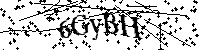 Veuillez écrire les lettres et numéros suivants