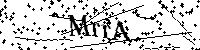 Por favor, escribe las letras y los números siguientes