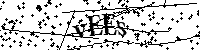 Veuillez écrire les lettres et numéros suivants