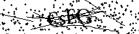 Bitte schreiben Sie die nächsten Buchstaben und Zahlen