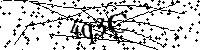 Si prega di scrivere le lettere e i numeri successivi