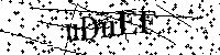 Bitte schreiben Sie die nächsten Buchstaben und Zahlen