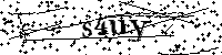 Si prega di scrivere le lettere e i numeri successivi