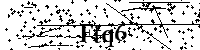 Si prega di scrivere le lettere e i numeri successivi