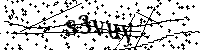 Si prega di scrivere le lettere e i numeri successivi