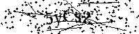 Si prega di scrivere le lettere e i numeri successivi