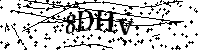 Veuillez écrire les lettres et numéros suivants