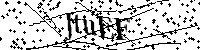 Veuillez écrire les lettres et numéros suivants