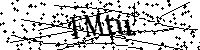 Si prega di scrivere le lettere e i numeri successivi
