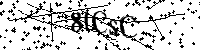 Bitte schreiben Sie die nächsten Buchstaben und Zahlen