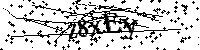 Veuillez écrire les lettres et numéros suivants