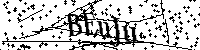 Veuillez écrire les lettres et numéros suivants