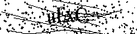 Veuillez écrire les lettres et numéros suivants