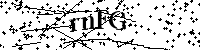Veuillez écrire les lettres et numéros suivants