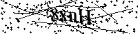Veuillez écrire les lettres et numéros suivants