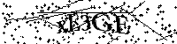 Veuillez écrire les lettres et numéros suivants