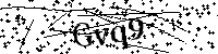 Veuillez écrire les lettres et numéros suivants